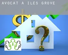 Avocat à  Iles Grove