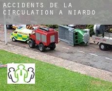 Accidents de la circulation à  Niardo