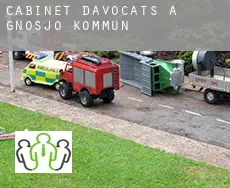 Cabinet d'avocats à Gnosjö Kommun