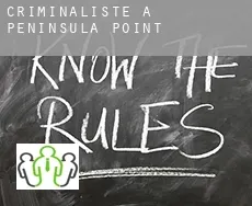 Criminaliste à  Peninsula Point