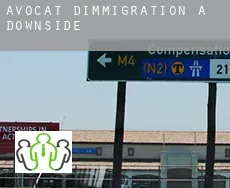 Avocat d'immigration à  Downside