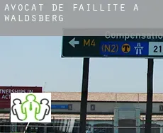 Avocat de faillite à  Waldsberg