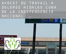 Avocat du travail à  Dolores Hidalgo Cuna de la Independencia Nacional