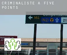 Criminaliste à  Five Points