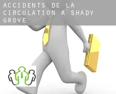 Accidents de la circulation à  Shady Grove