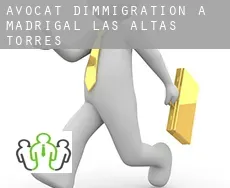 Avocat d'immigration à  Madrigal de las Altas Torres
