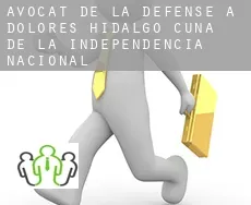 Avocat de la défense à  Dolores Hidalgo Cuna de la Independencia Nacional