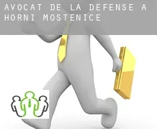 Avocat de la défense à Horní Moštěnice