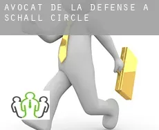 Avocat de la défense à  Schall Circle
