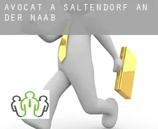 Avocat à  Saltendorf an der Naab