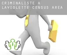 Criminaliste à  Laviolette (census area)