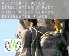 Accidents de la circulation à  East Shady Hills