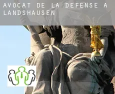 Avocat de la défense à  Landshausen