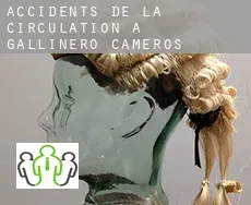 Accidents de la circulation à  Gallinero de Cameros