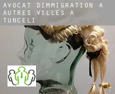 Avocat d'immigration à  Autres Villes à Tunceli