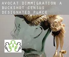 Avocat d'immigration à Buckshot
