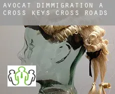 Avocat d'immigration à  Cross Keys Cross Roads