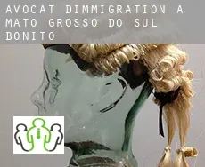 Avocat d'immigration à  Bonito (Mato Grosso do Sul)