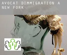 Avocat d'immigration à New Fork