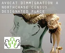 Avocat d'immigration à Northchase