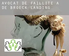 Avocat de faillite à  De Broeck Landing