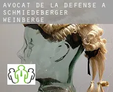 Avocat de la défense à  Schmiedeberger Weinberge