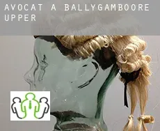 Avocat à Ballygamboore Upper