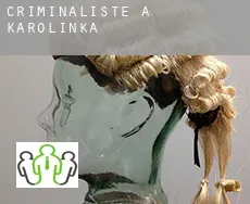 Criminaliste à  Karolinka