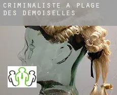 Criminaliste à  Plage-des-Demoiselles