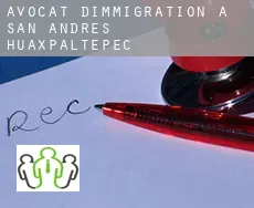 Avocat d'immigration à  San Andrés Huaxpaltepec