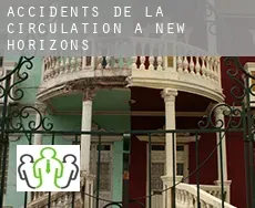 Accidents de la circulation à  New Horizons
