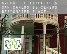 Avocat de faillite à  San Carlos II
