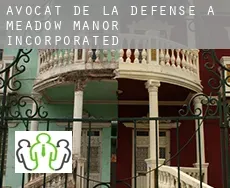 Avocat de la défense à  Meadow Manor Incorporated