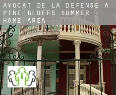 Avocat de la défense à  Pine Bluffs Summer Home Area