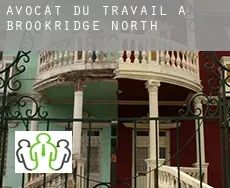 Avocat du travail à  Brookridge North