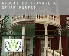 Avocat du travail à  Neuse Forest