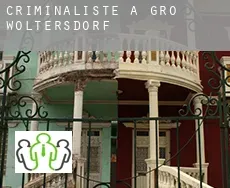 Criminaliste à  Groß Woltersdorf