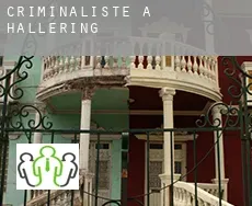 Criminaliste à  Hallering