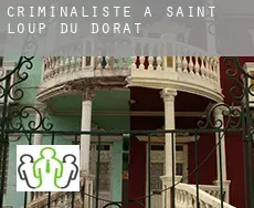 Criminaliste à Saint-Loup-du-Dorat