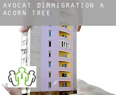 Avocat d'immigration à Acorn Tree