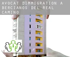 Avocat d'immigration à  Bercianos del Real Camino