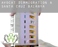 Avocat d'immigration à  Municipio de Santa Cruz Balanyá