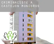 Criminaliste à  Castejón de Monegros