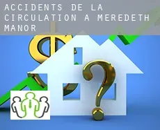 Accidents de la circulation à  Meredeth Manor