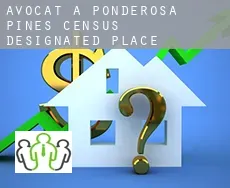 Avocat à  Ponderosa Pines
