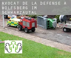 Avocat de la défense à Wolfsberg im Schwarzautal