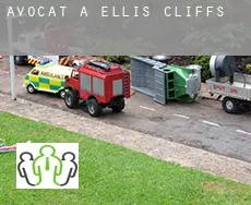 Avocat à  Ellis Cliffs