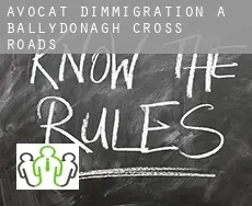 Avocat d'immigration à  Ballydonagh Cross Roads