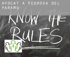 Avocat à  Pedrosa del Páramo