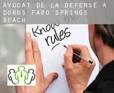 Avocat de la défense à Dorns Faro Springs Beach
